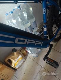 pedalata assistita 