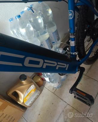 pedalata assistita 