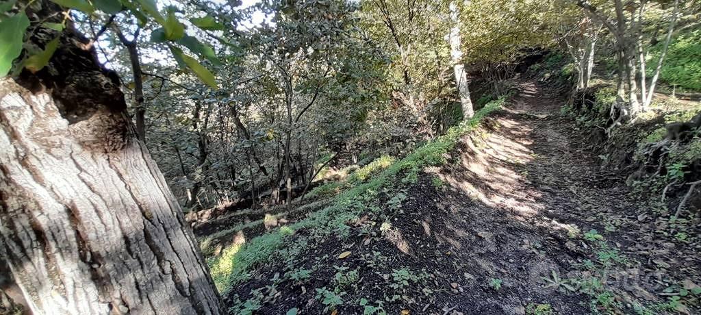 Terreno di 12634 m² a Palma Campania - Vista 4