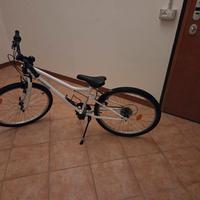 Bicicletta ragazzo 24"