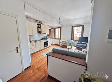 Appartamento di 47 m² con 2 locali a Badia Polesin