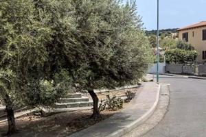 Terreno edificabile a Bauladu