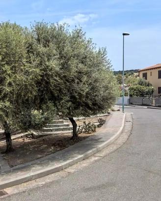Terreno edificabile a Bauladu