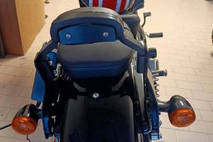 Harley Davidson Sportster 1200