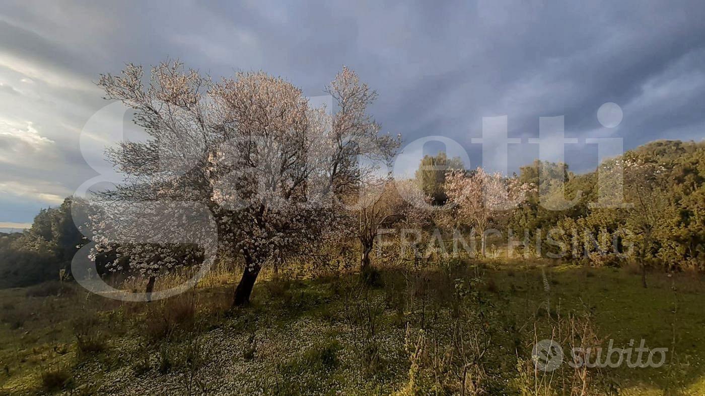 San Basilio, terreno agricolo di 3270 mq - Vista 4