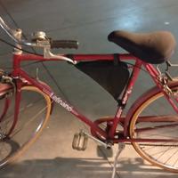 bici x adulti 