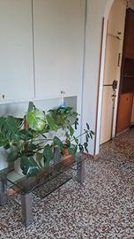 singola per ragazza lavoratrice 