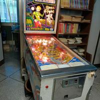 Flipper "Moon flight"