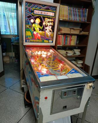 Flipper "Moon flight"