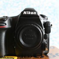 Nikon D850 NITAL con 2800 scatti