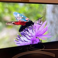 Monitor LG 27UL500-W 27” 4K UHD IPS