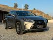 Lexus NX 300h Hybrid 4WD Luxury