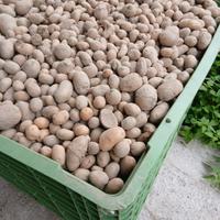 Patate consumo animale