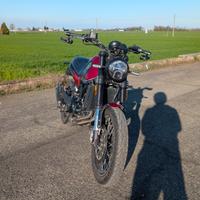 Benelli leoncino 500 Trail (scarico Arrow e borse)