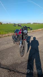 Benelli leoncino 500 Trail (scarico Arrow e borse)