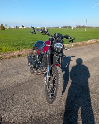 Benelli leoncino 500 Trail (scarico Arrow e borse)