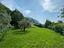 Immagine 15