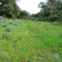 Terreno Agricolo 5200 mq - Zona Palmari Iglesias