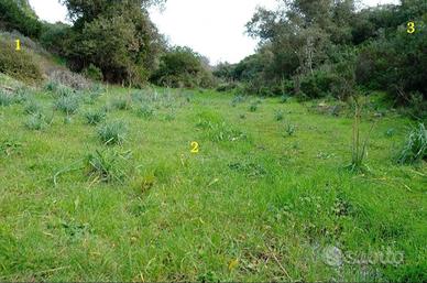 Terreno Agricolo 5200 mq - Zona Palmari Iglesias