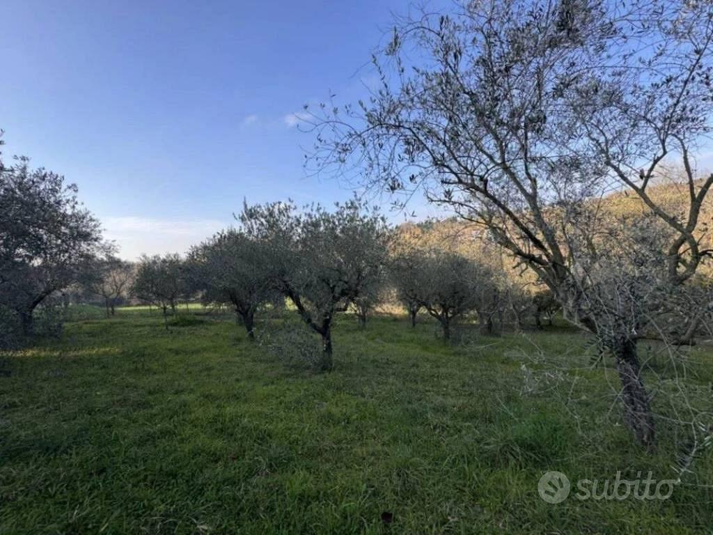 Immobile in asta di 4660 m² a Corropoli - Vista 2