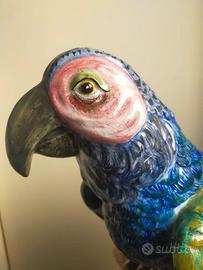 Pappagallo ceramica