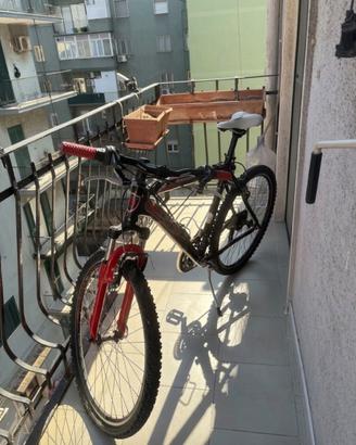 Mtb 26