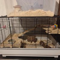  gabbia per i criceti