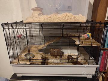  gabbia per i criceti