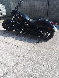 v-rod vrscdx