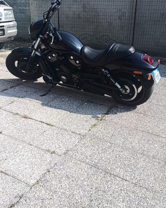v-rod vrscdx