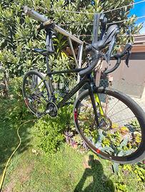 synapse carbon 2019