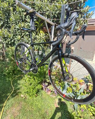 synapse carbon 2019