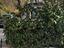 Immagine 15