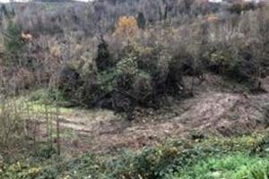 RGE 6/2022 - Tribunale di Urbino - Lotto 2