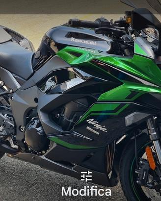 kawasaki ninja 1000 sx tourer