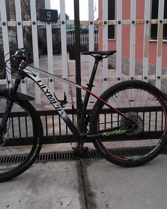 OLYMPIA F1 front tg. S