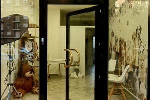 Attivita di toelettatura a Torino
