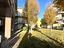 Immagine 30