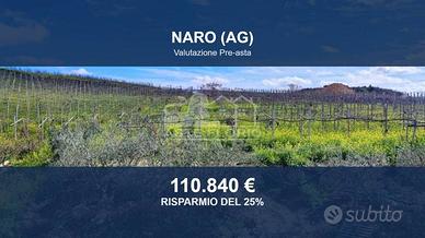 Immobile in asta di 141216 m² a Naro