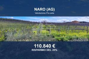 Immobile in asta di 141216 m² a Naro