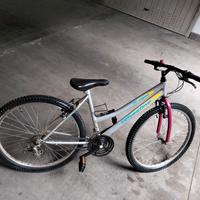 mountain-bike 