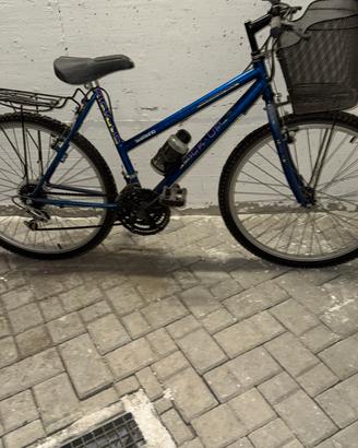 montuain bike da donna
