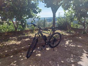 GFM urany 29" L