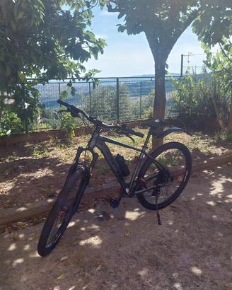 GFM urany 29" L