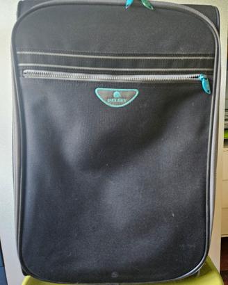 trolley Delsey 