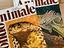 Immagine 4