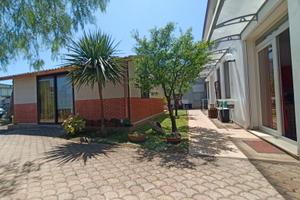Disponibile 23-30 Agosto