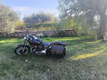 Harley Davidson Softail Custom 1340