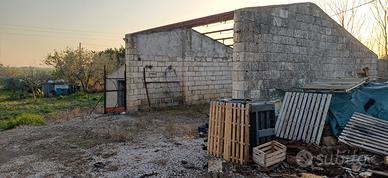 Tenuta da ristrutturare