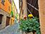 Immagine 28